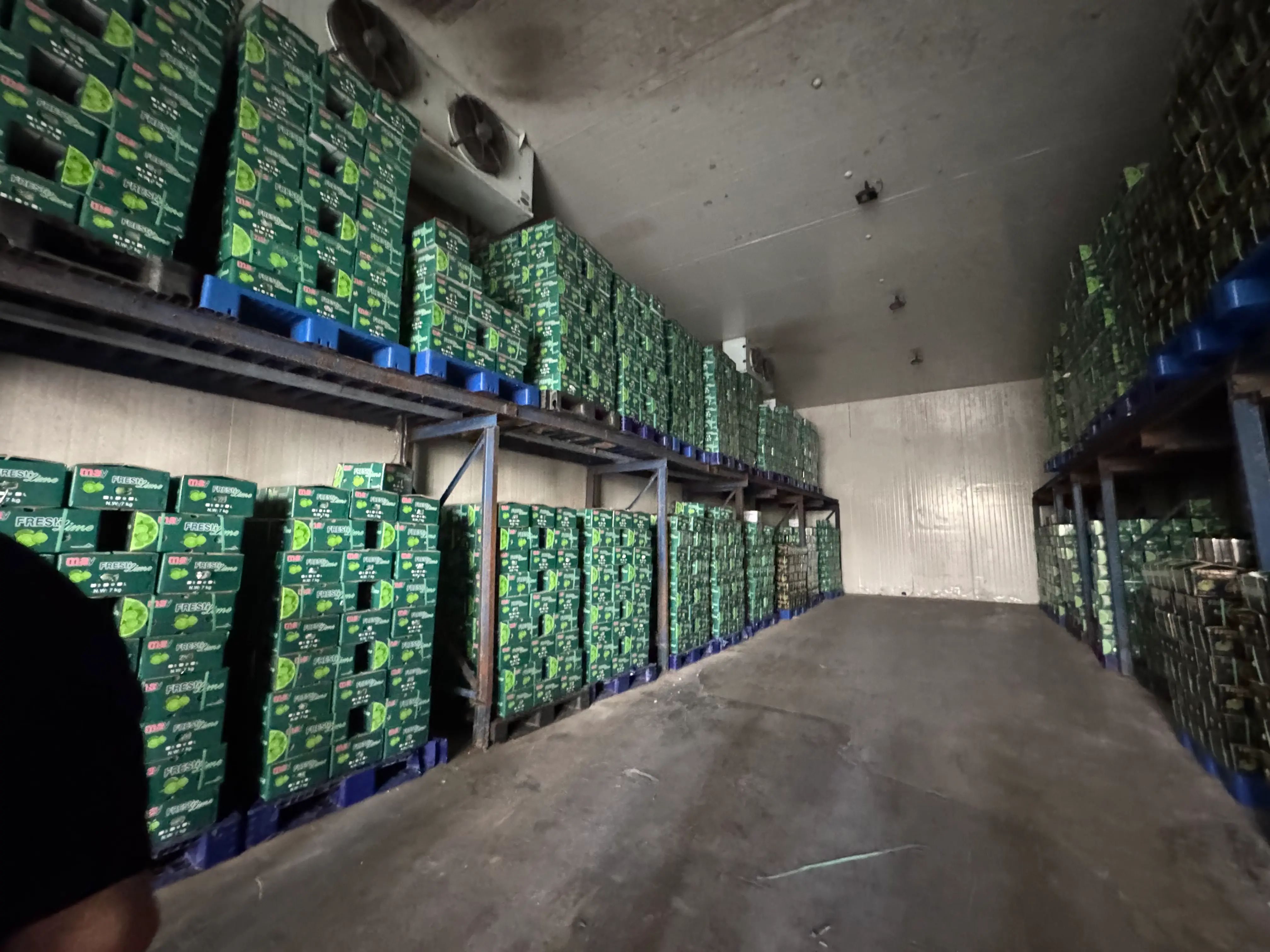 KD Global - IMG 9743